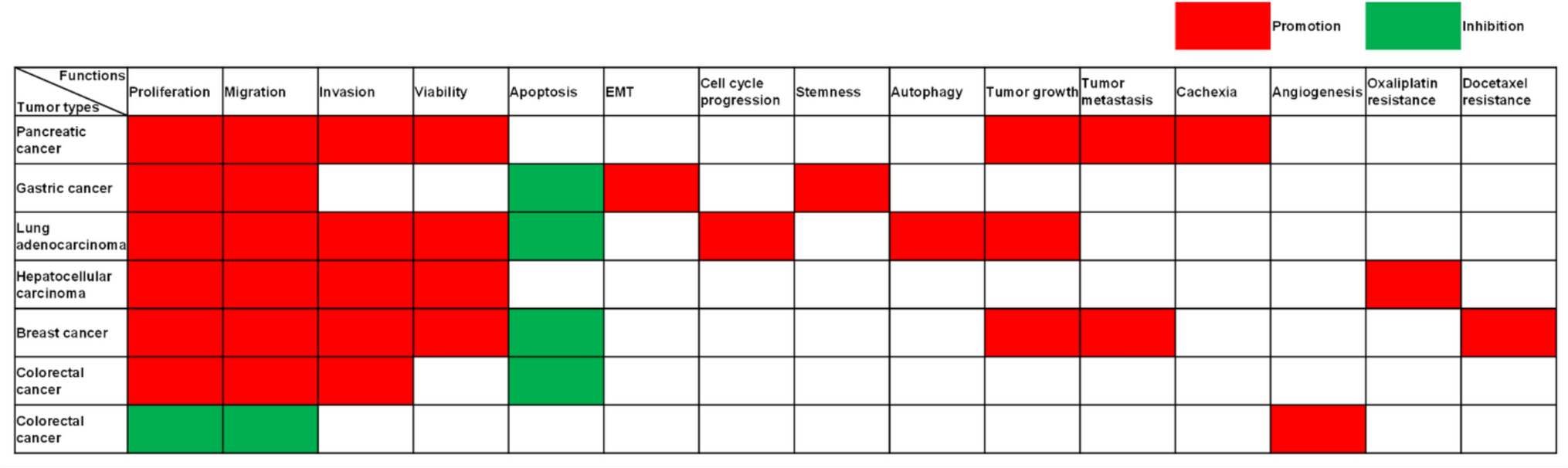 LINC01559: roles, mechanisms, and clinical implications in human cancers