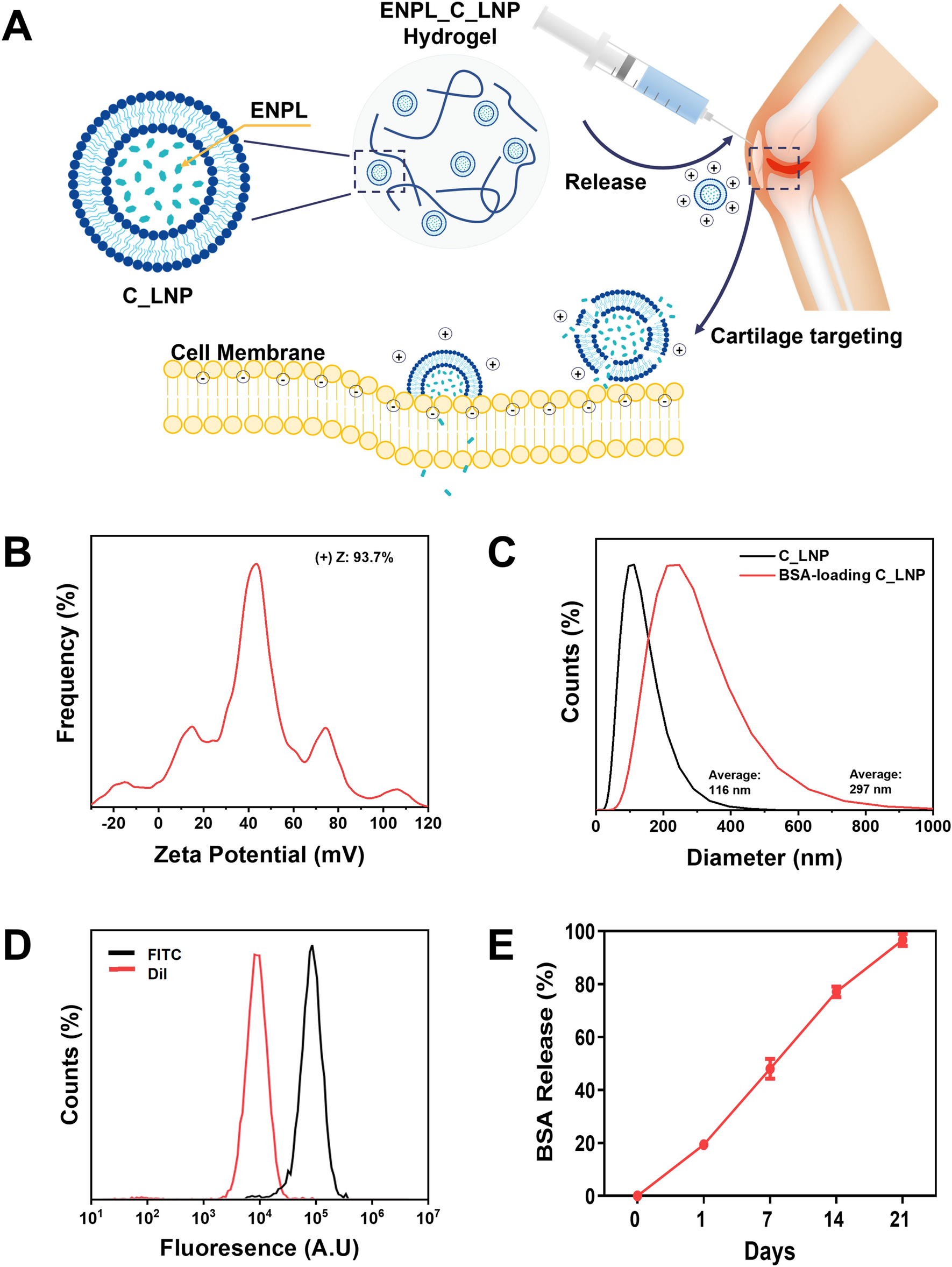 Injectable Endoplasmin-Loaded Lipid Nanoparticles-Hydrogel Composite for Cartilage Regeneration