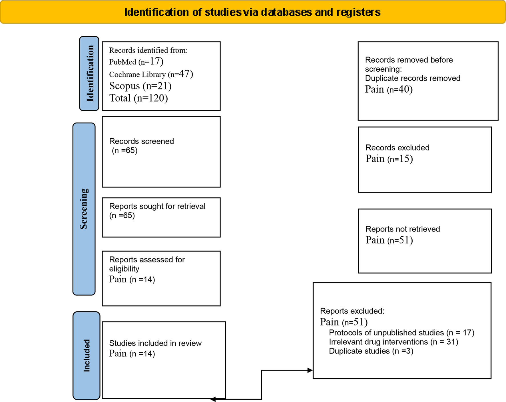A Promising Route for Established Indications: A Systematic Review of Nebulized Ketamine in Pain