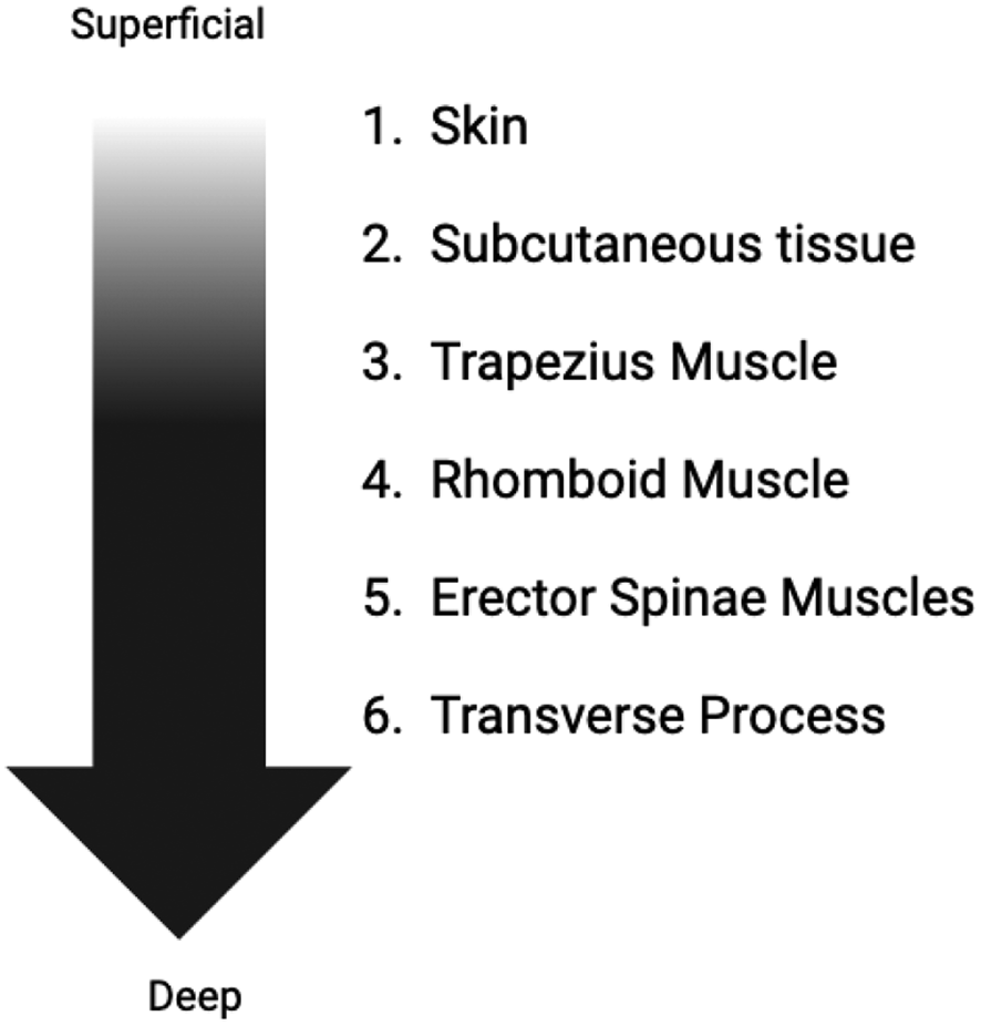 Efficacy of Erector Spinae Plane Block for Pain Management after Hip Surgery: A Narrative Review