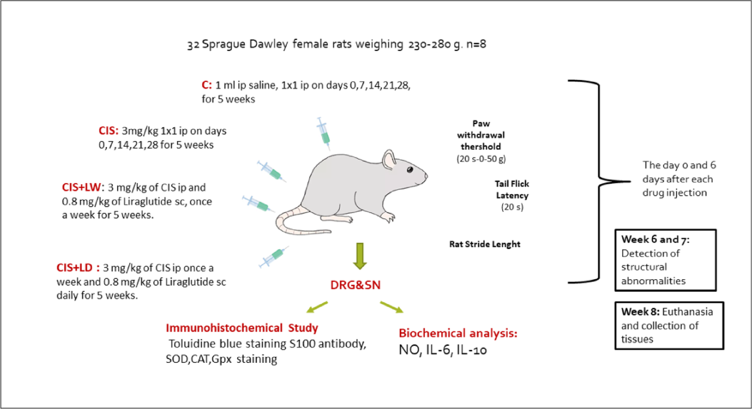 The effects of the GLP1 analog liraglutide on allodynia and motor coordination in peripheral neuropathy induced by a chemotherapeutic agent, cisplatin