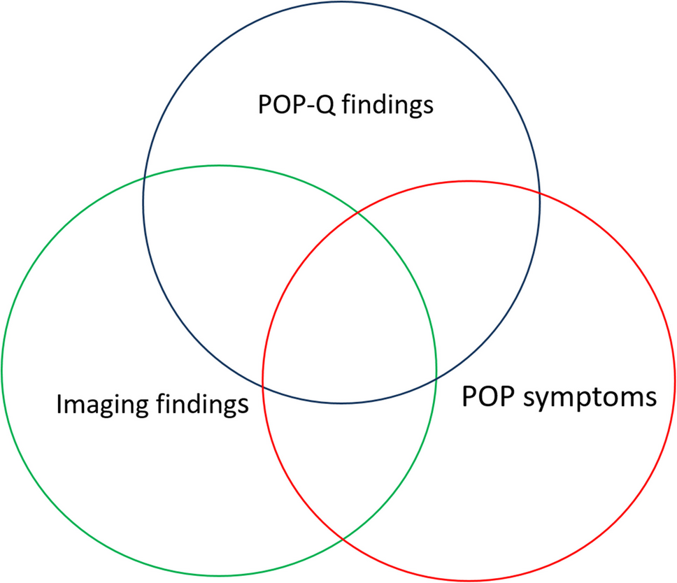International Urogynecological Consultation Chapter 2.2: Imaging in the Diagnosis of Pelvic Organ Prolapse