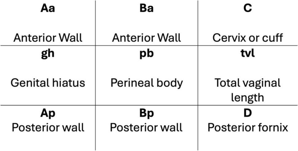 Erroneous and Incomplete Reporting of the Pelvic Organ Prolapse Quantification System