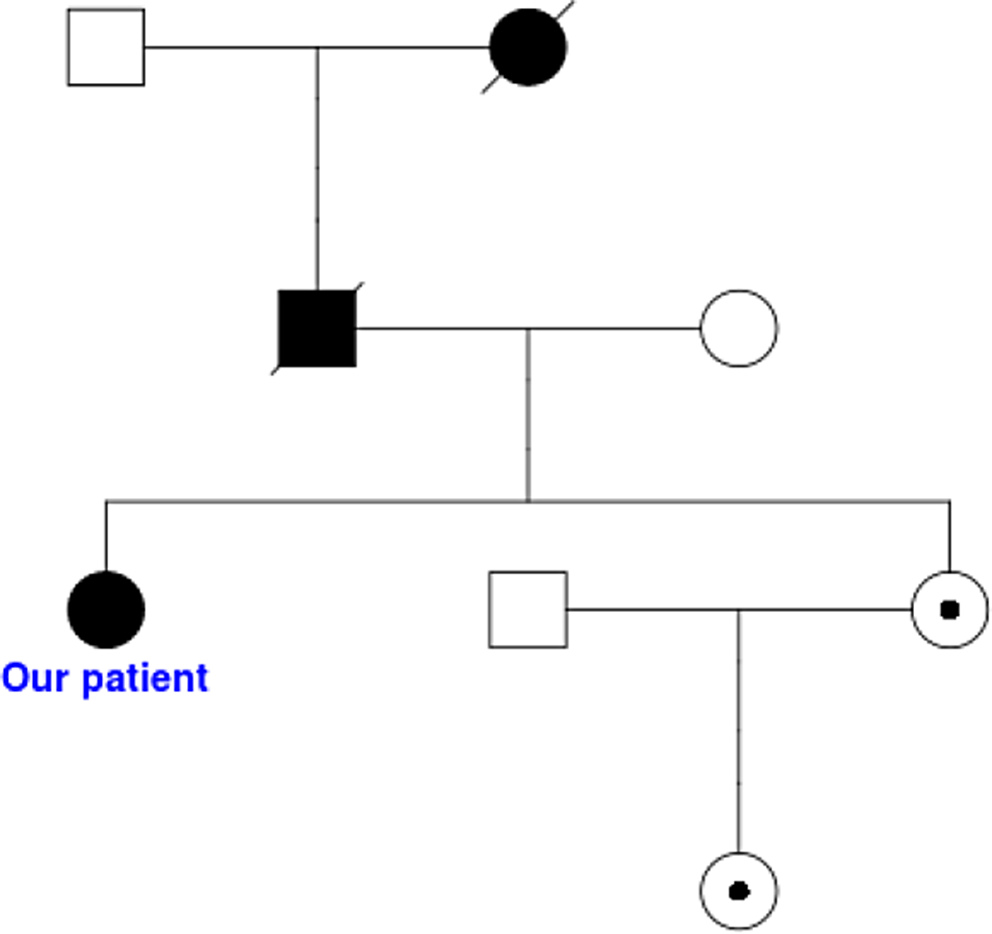 Unraveling X-linked adrenoleukodystrophy in women: a rare case of central nervous system manifestations and implications for screening