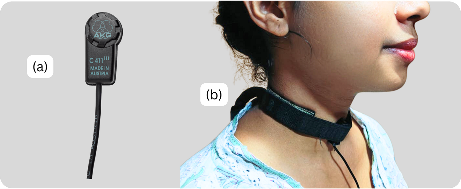 Swallow sound acoustics: a cost-effective objective tool for swallowing assessment in individuals with neurogenic dysphagia