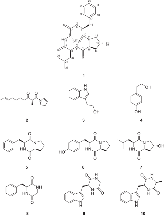 Isolation and synthesis of a new cyclic tetrapeptide from marine-associated Bacillus sp. and its bacterial biofilm formation inhibitory activity
