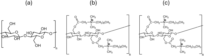 Antibacterial properties of quaternized cellulose nanocrystals in clinical isolates of multidrug-resistant gram-negative bacteria