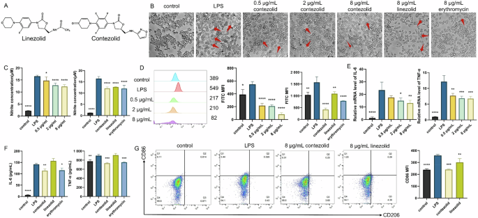 Contezolid, a novel oxazolidinone antibiotic, acts as a potential anti-inflammatory agent