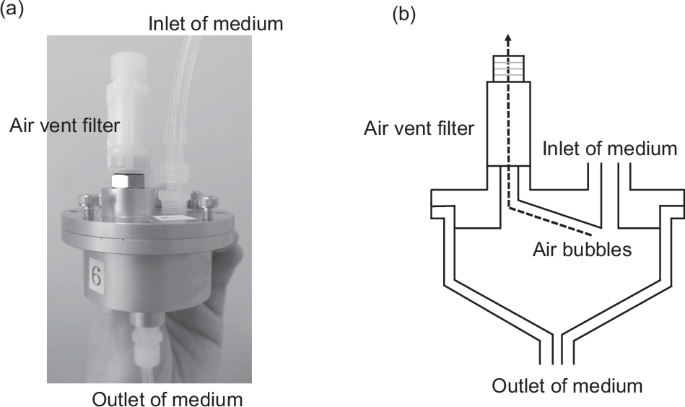 Evaluation of lung epithelial lining fluid concentrations of lascufloxacin against Streptococcus pneumoniae in a hollow-fiber infection model