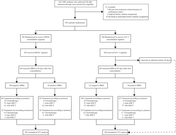 High-dose cytarabine with idarubicin consolidation for acute myeloid leukemia in first complete remission: a randomized controlled trial