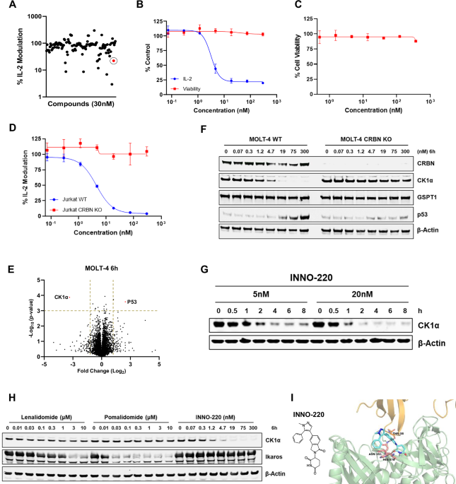 A highly selective and orally bioavailable casein kinase 1 alpha degrader through p53 signaling pathway targets B-cell lymphoma cells