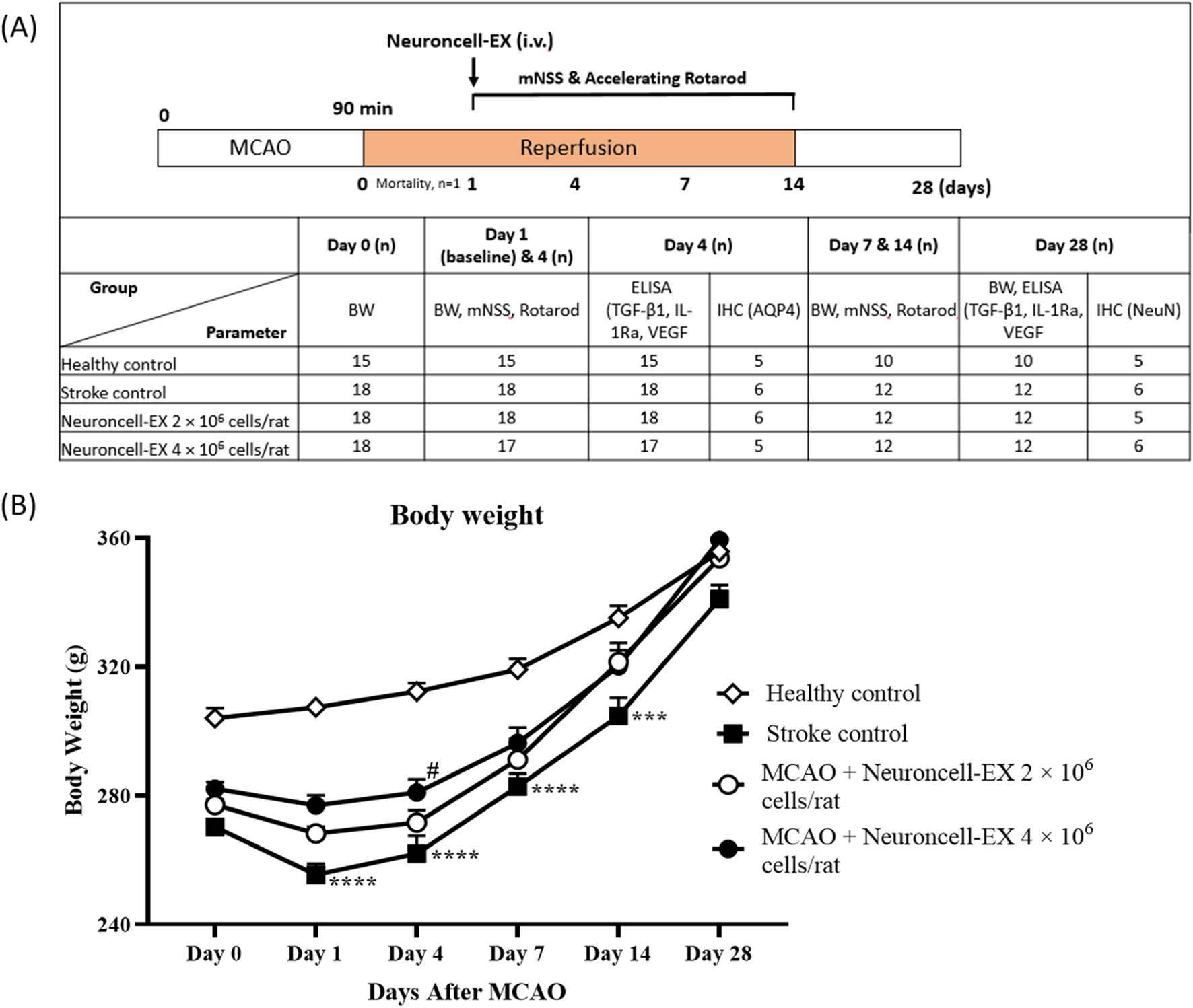Neuroprotective effects of human umbilical cord mesenchymal stem cells (Neuroncell-EX) in a rat model of ischemic stroke are mediated by immunomodulation, blood–brain barrier integrity, angiogenesis, and neurogenesis