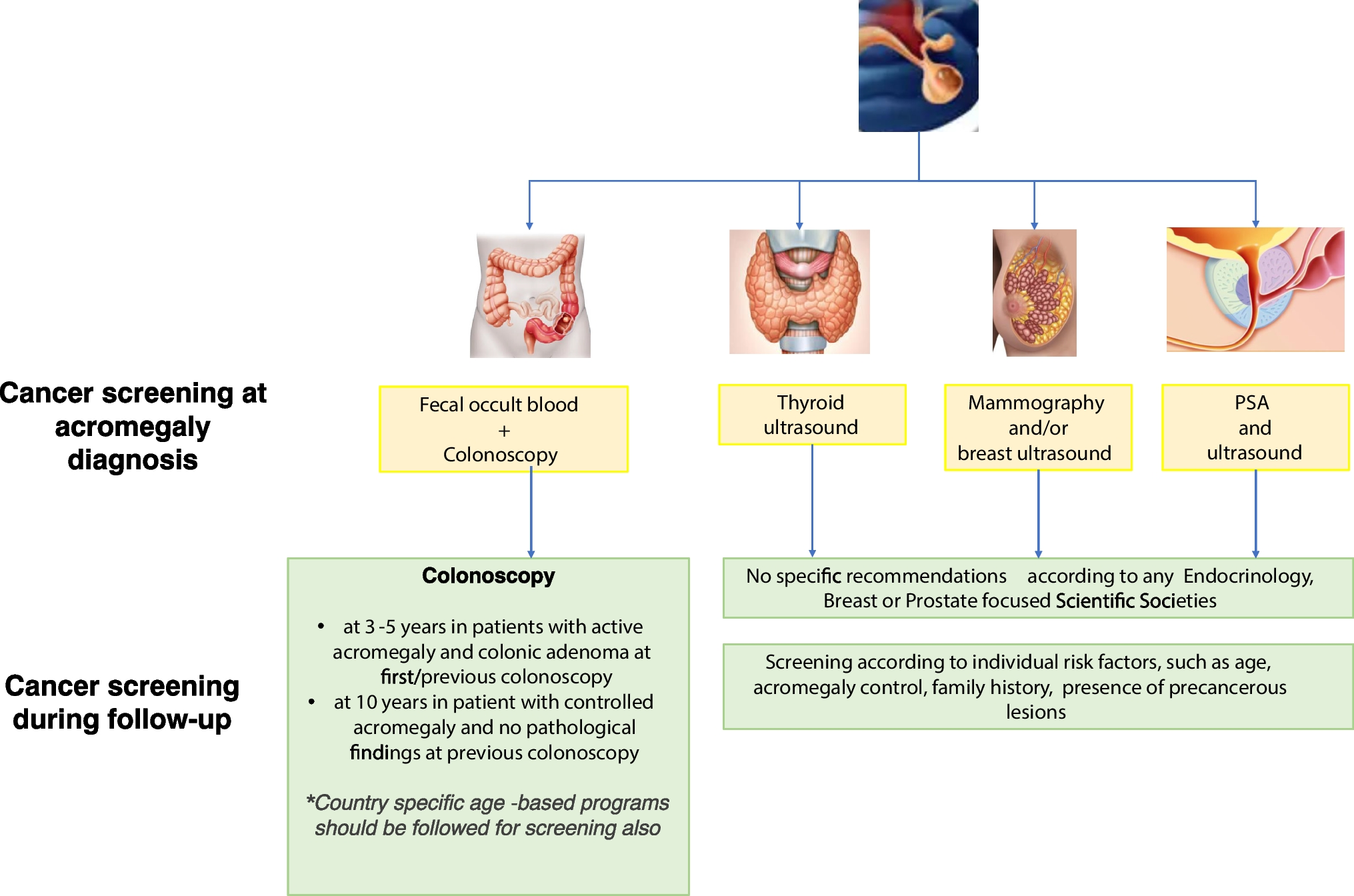 Cancer screening in patients with acromegaly: a plea for a personalized approach and international registries