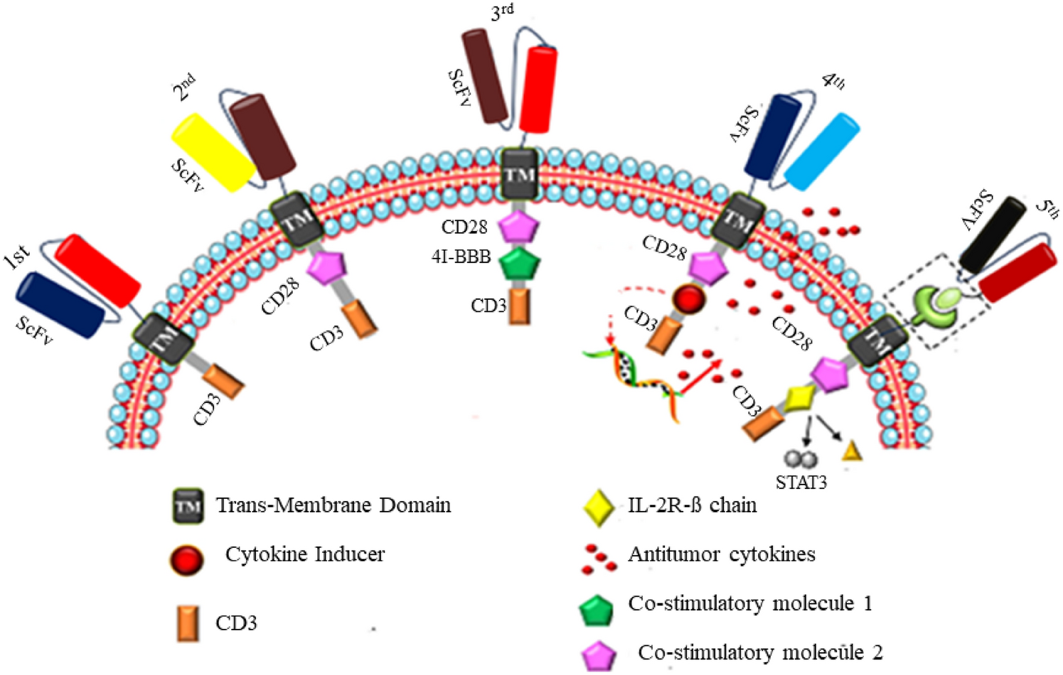 Revolutionising cancer intervention: the repercussions of CAR-T cell therapy on modern oncology practices