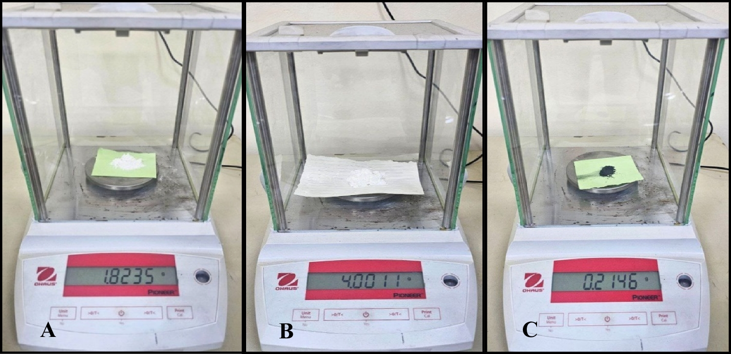 A Study on the In Vivo Bioactivity of Nano-biocomposite for Bone Tissue Engineering