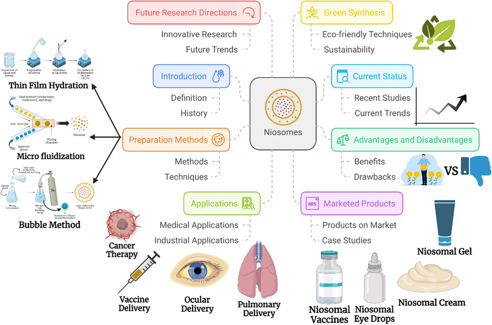 Niosomes: A Revolution in Sustainable and Targeted Drug Delivery-Green Synthesis, Precision Medicine, and Beyond