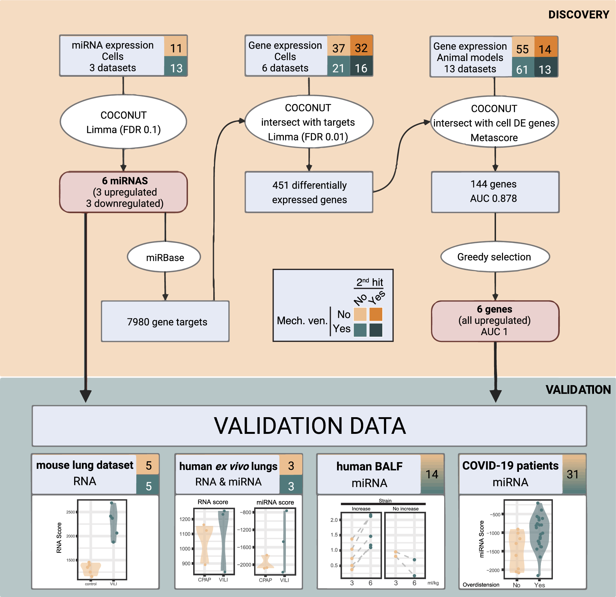 Prediction of lung overdistension during mechanical ventilation using micro-RNA and gene expression