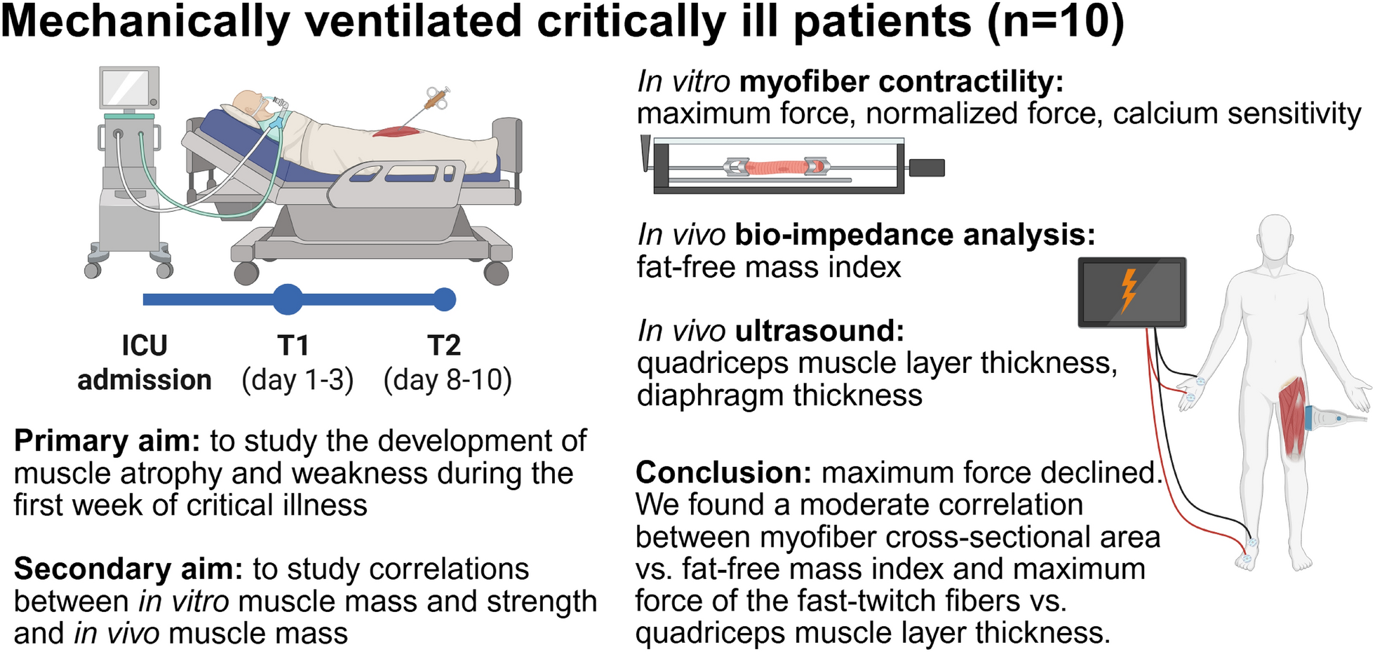 In vitro and in vivo muscle mass and strength during the first week of critical illness