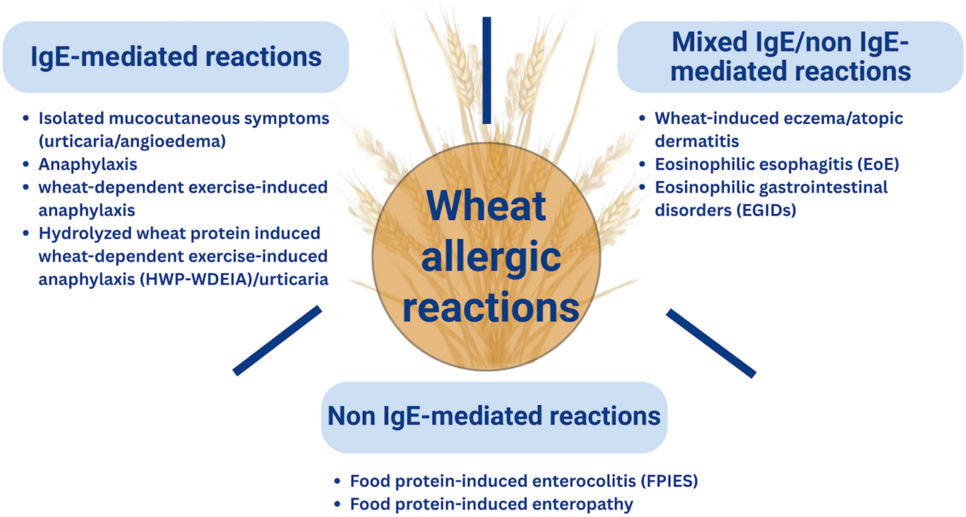 Molecular Diagnosis to IgE-mediated Wheat Allergy and Wheat-Dependent Exercise-Induced Anaphylaxis