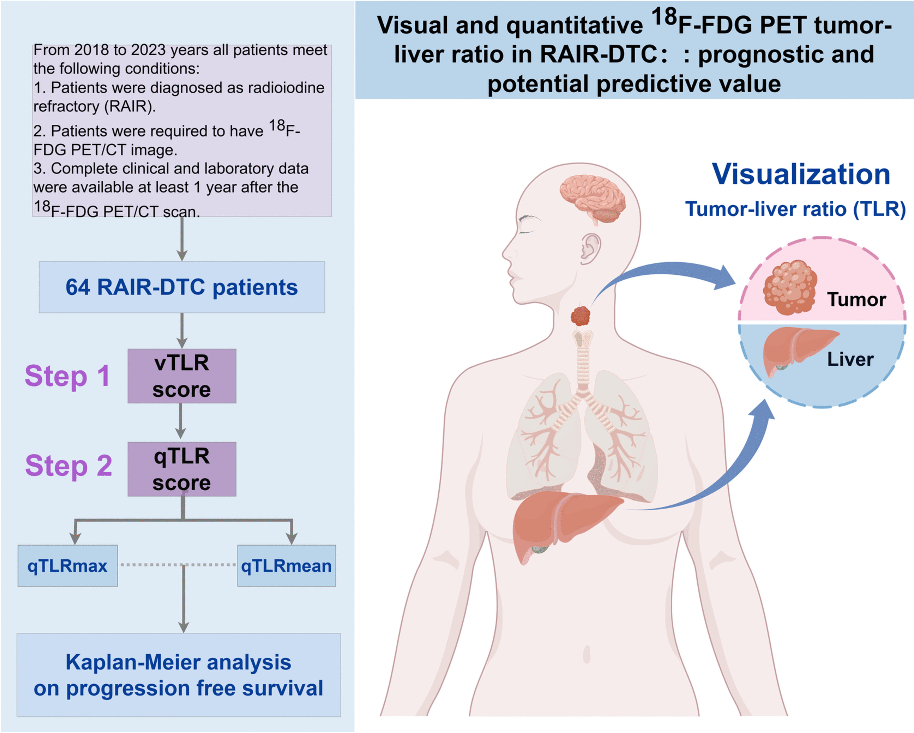 Visual and Quantitative F-FDG PET Tumor-liver Ratio in Radioiodine Refractory Differentiated Thyroid Cancer: Prognostic and Potential Predictive Value
