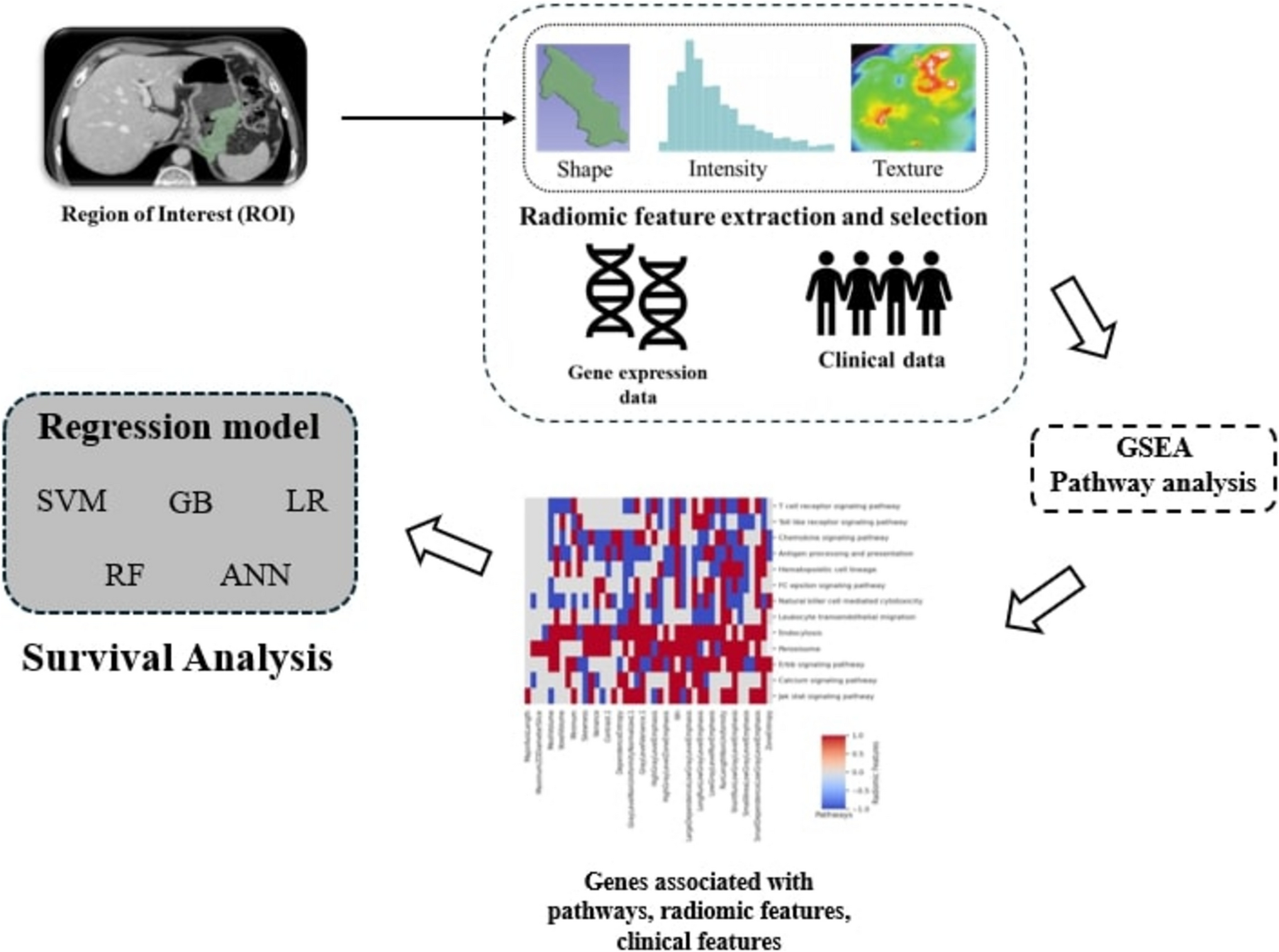 Radiogenomic Profiling for Survival Analysis in Gastric Cancer: Integrating CT Imaging, Gene Expression, and Clinical Data