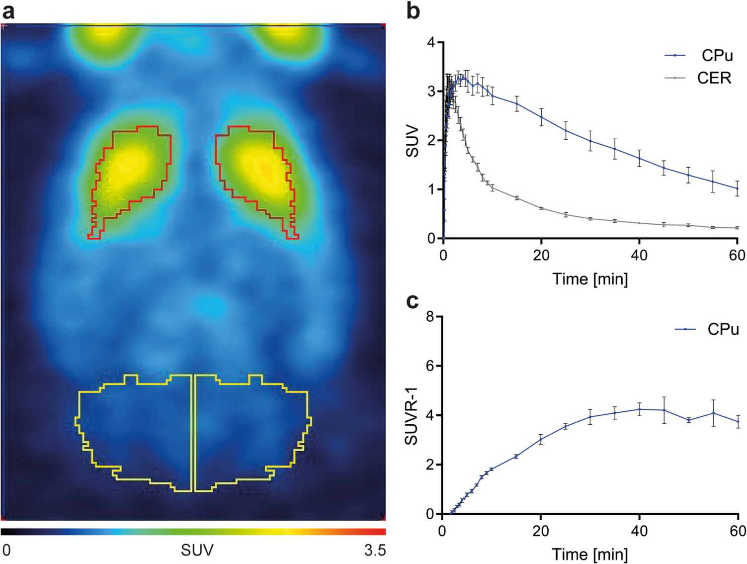 Impact of Mechanical Ventilation and Anesthesia on PET Tracer Kinetics for Combined PET/fMRI Studies in Rats