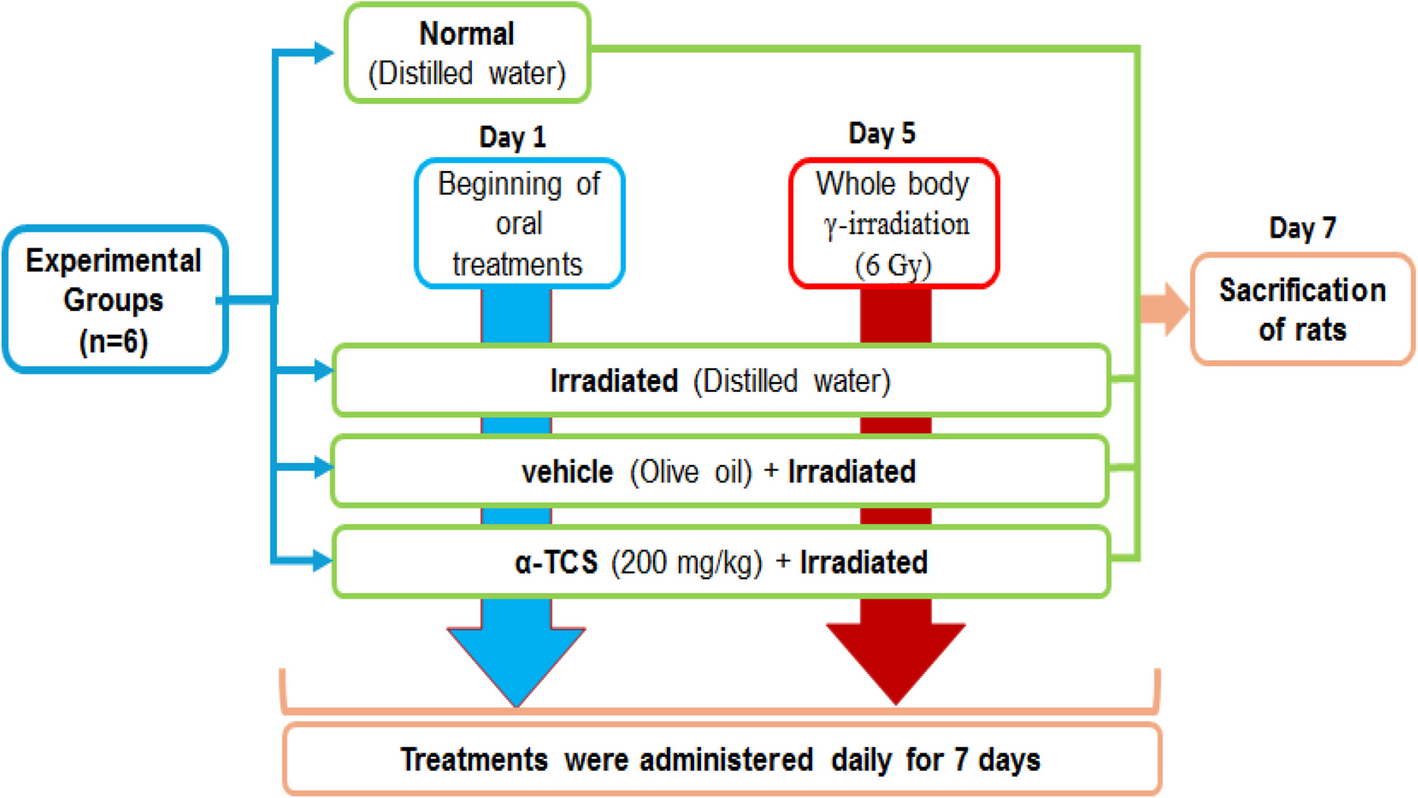 Mitigation of radiation mediated testicular dysfunction by α-tocopheryl succinate: PPAR-γ related pathway