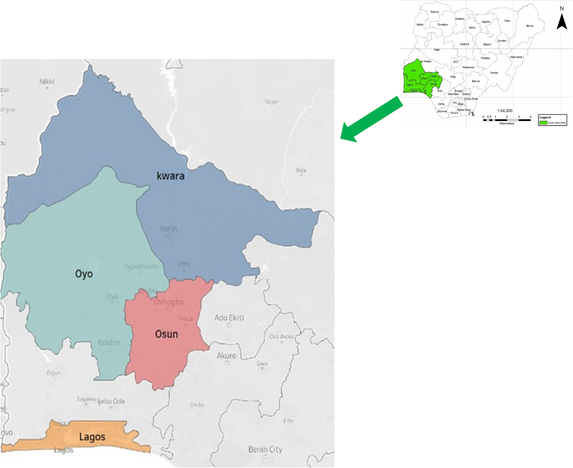 Traditional contraceptive practices: survey of medicinal plants used to control birth in four states in Nigeria