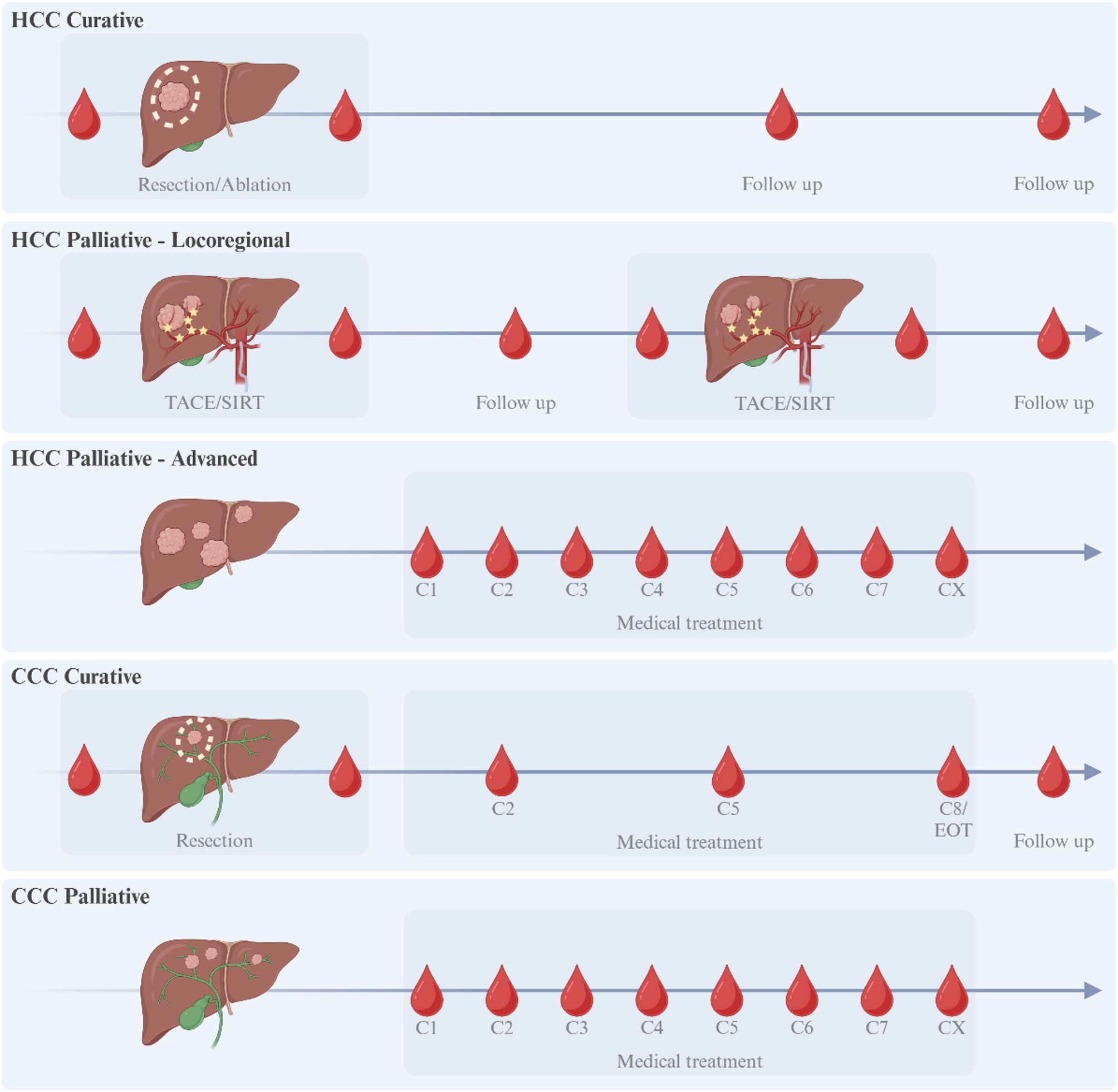 The bile duct and liver cancer: ON-treatment surveillance of tumor evolution and response to systemic treatment (BILLIONSTARS) study