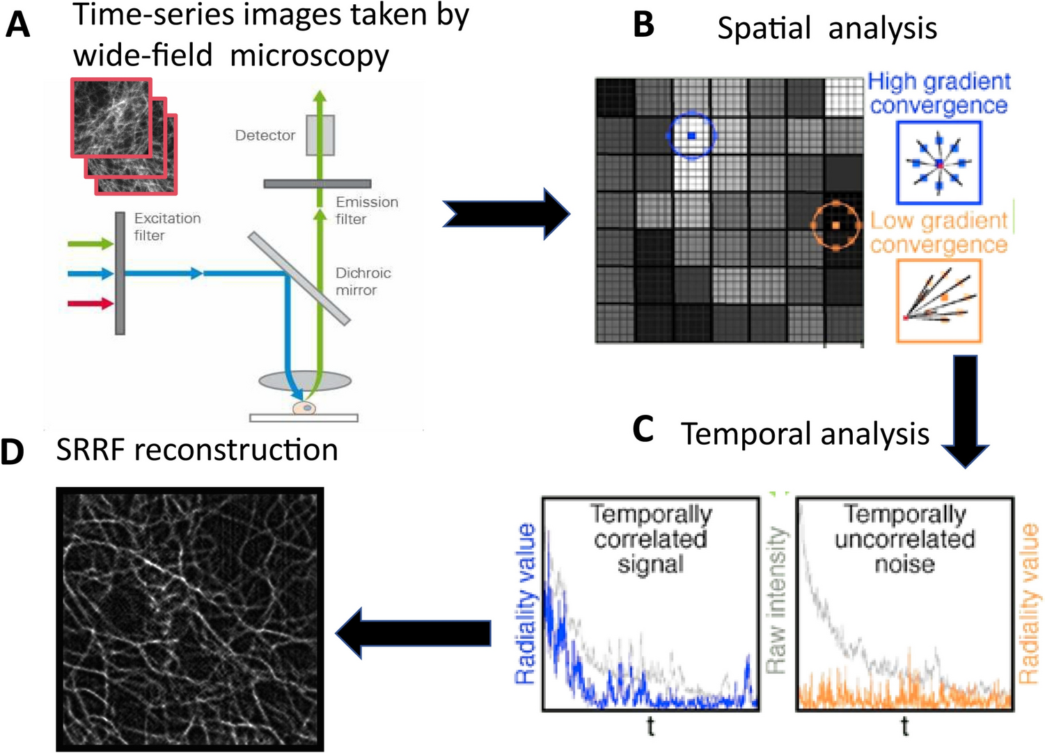 Super-resolution radial fluctuations (SRRF): a versatile and accessible tool for live-cell nanoscopy