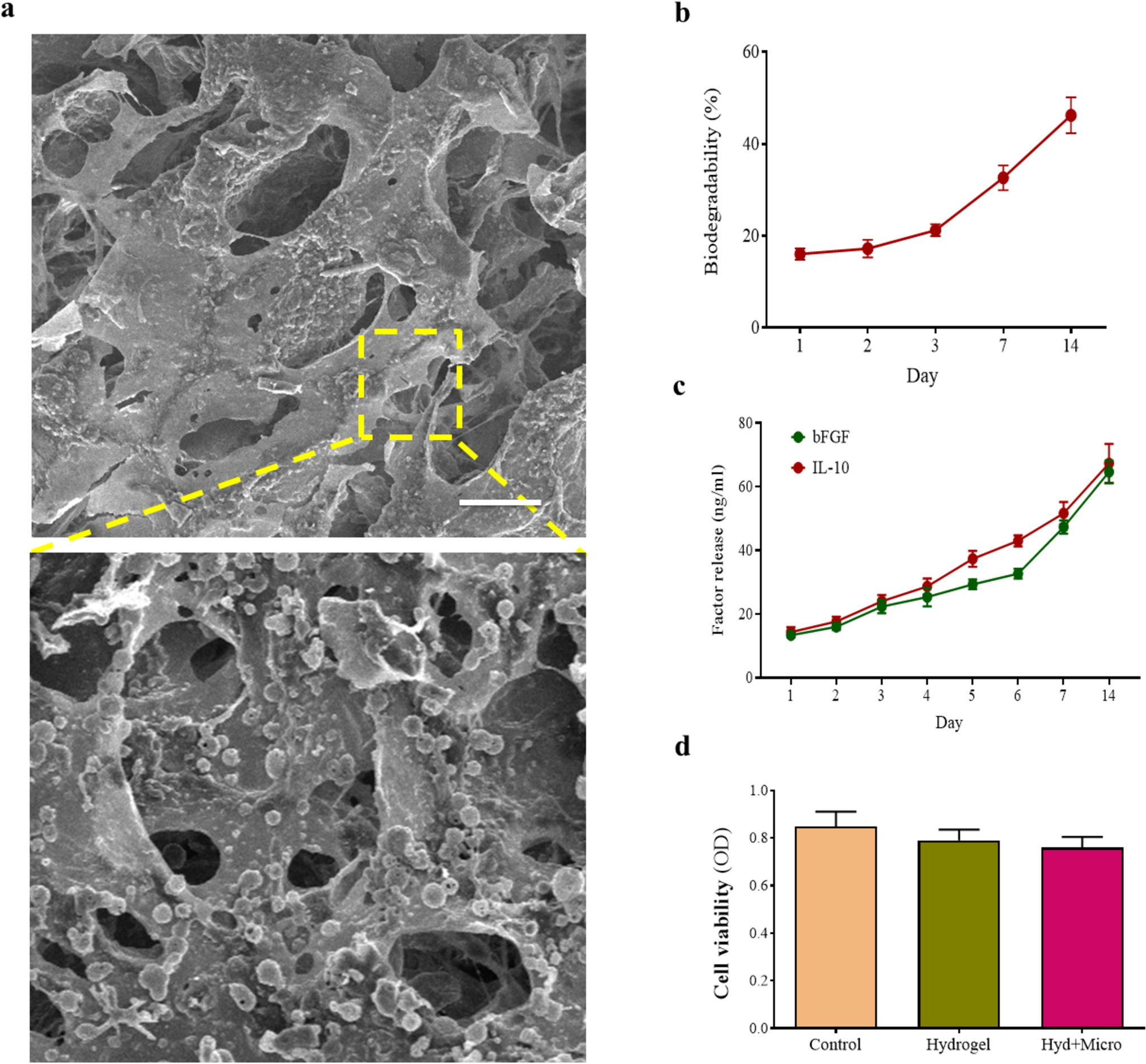 Bioactive and degradable collagen-based hydrogel encapsulated with microspheres containing basic fibroblast growth factor (bFGF) and interleukin (IL)-10 promotes recovery following traumatic spinal cord injury in rats