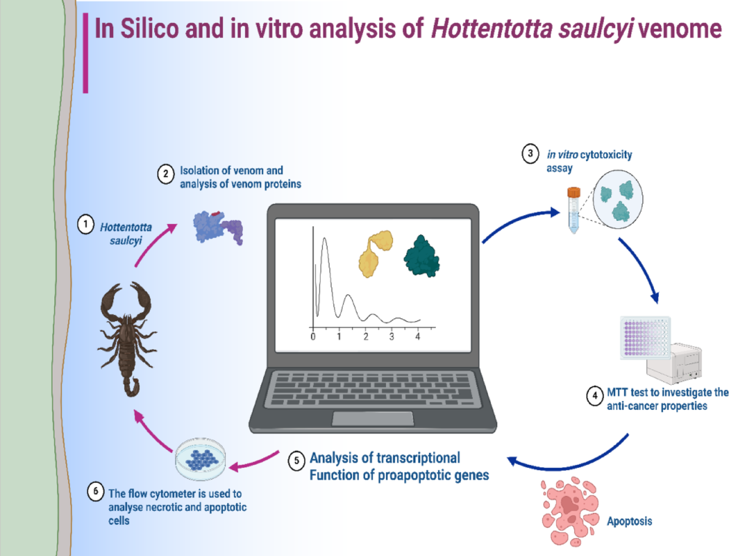 Modeling and Characterization of  Scorpion Venom and Investigation of Its Anticancer Properties
