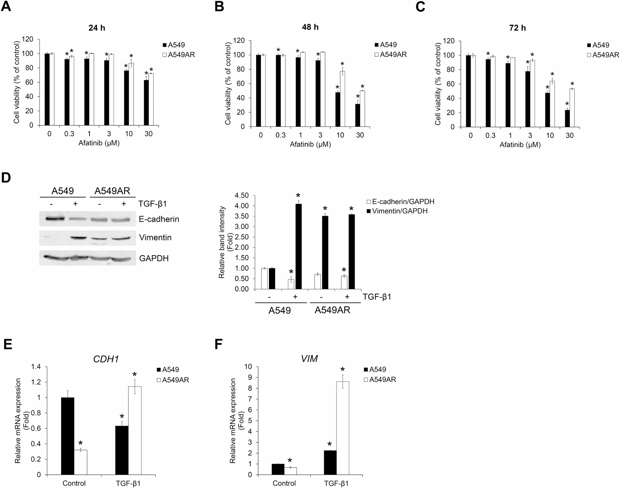 Cilengitide Derivatives Suppress TGF-β1-Induced Migration and Invasion in Afatinib-Resistant Non-small Cell Lung Cancer Cells