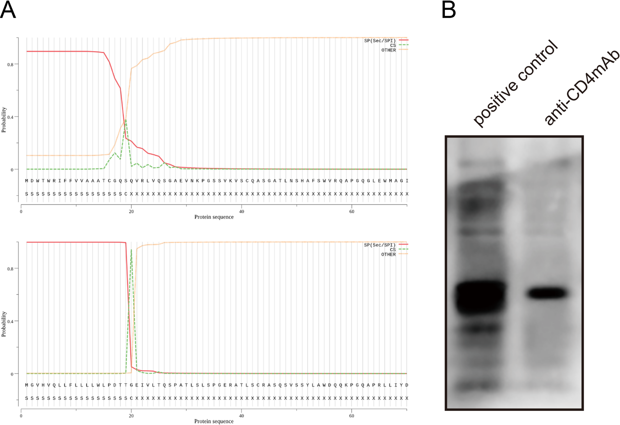 Effect of anti-CD4 mAb induced by inhibiting B cell disorder on immune reconstruction of HIV-infected immunological non-responders