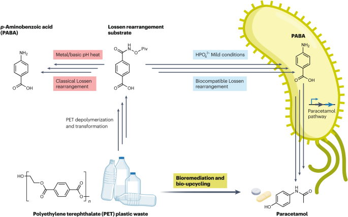 New-to-nature biocompatible chemistry for plastic waste upcycling