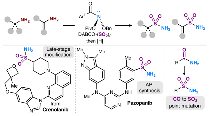 Accessing sulfonamides via formal SO2 insertion into C–N bonds