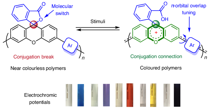 Reversible formation and control of linear conjugation in polymers