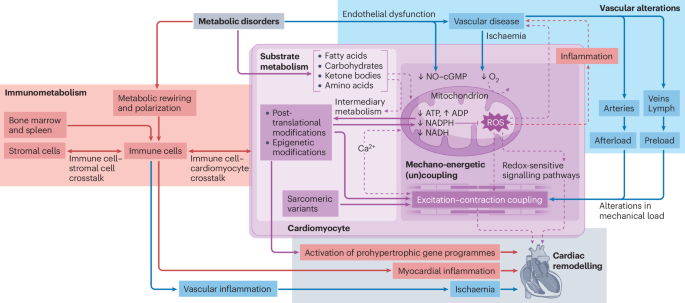 Metabolic alterations in heart failure