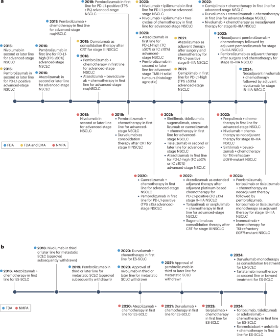 The next generation of immunotherapies for lung cancers