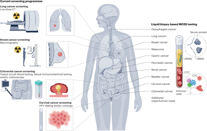 Promises and pitfalls of multi-cancer early detection using liquid biopsy tests