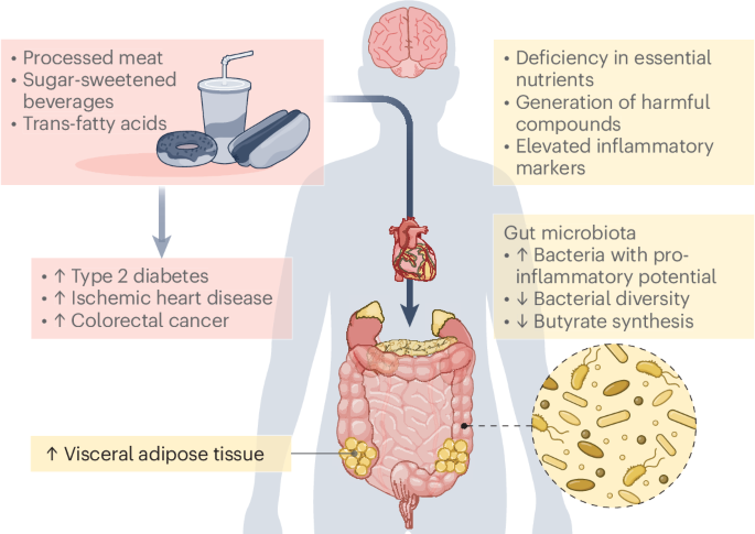 Updating the evidence on ultra-processed foods and health