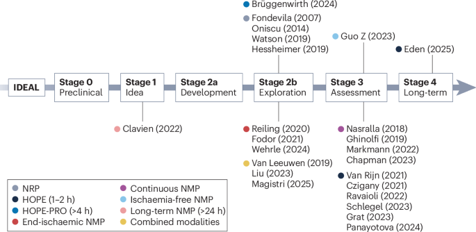 The IDEAL framework for machine perfusion in liver transplantation