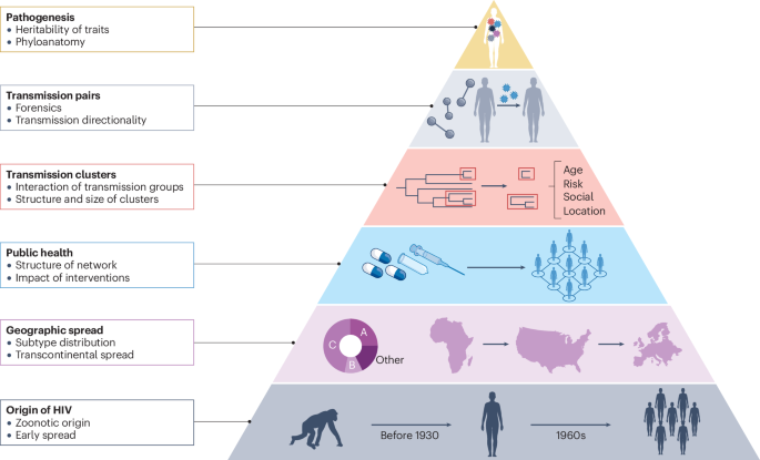 Phylogenetics and molecular evolution to understand and curb the HIV pandemic