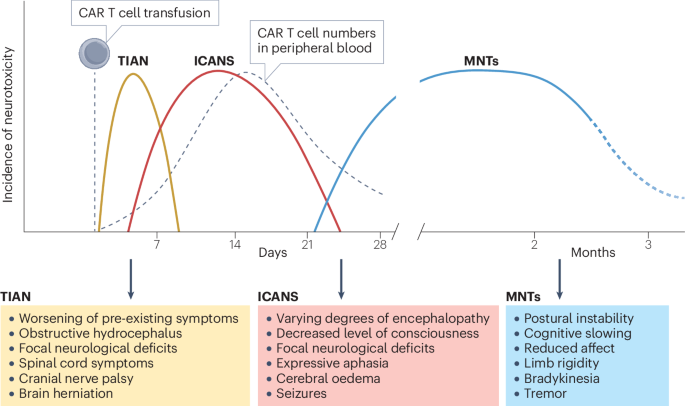 Neurological complications of CAR T cell therapy for cancers