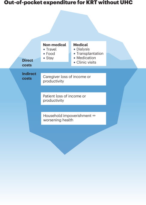 The catastrophic costs of chronic kidney disease