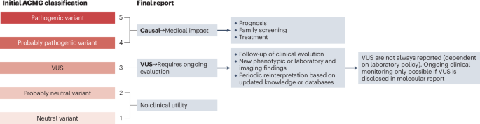 Nephrogenomics, precision medicine and the role of genetic testing in adult kidney disease management