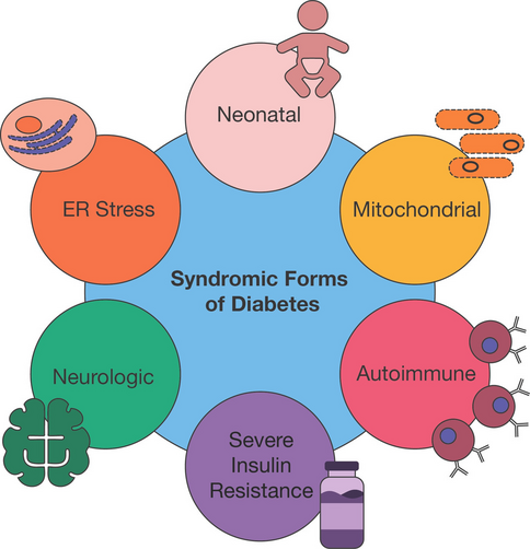 Neonatal and Syndromic Forms of Diabetes