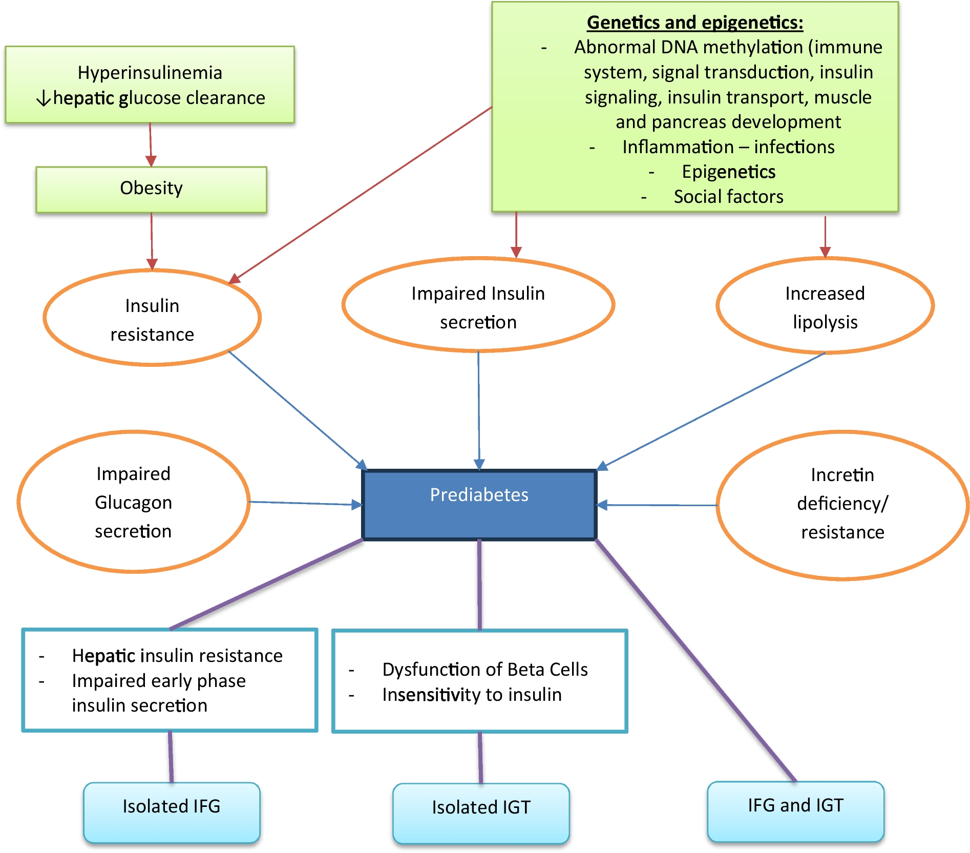 The Unique Ethnicity-Specific Aspects of Burden, Pathogenesis and Management of Prediabetes: Insights from Africa