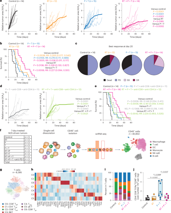 IL-17A-secreting γδ T cells promote resistance to CDK4/CDK6 inhibitors in HR+HER2− breast cancer via CX3CR1+ macrophages