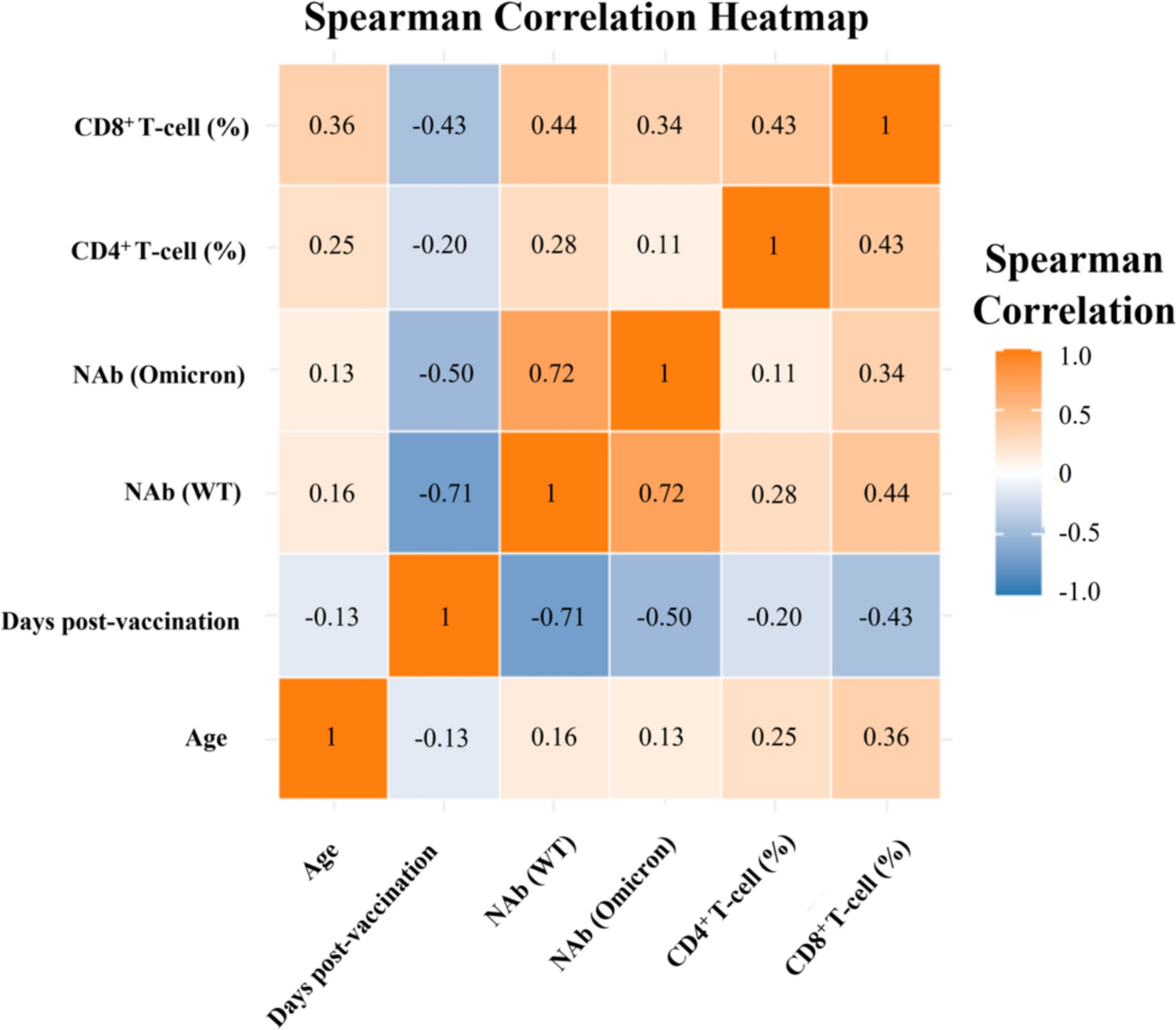 Predicting SARS-CoV-2-specific CD4 and CD8 T-cell responses elicited by inactivated vaccines in healthy adults using machine learning models